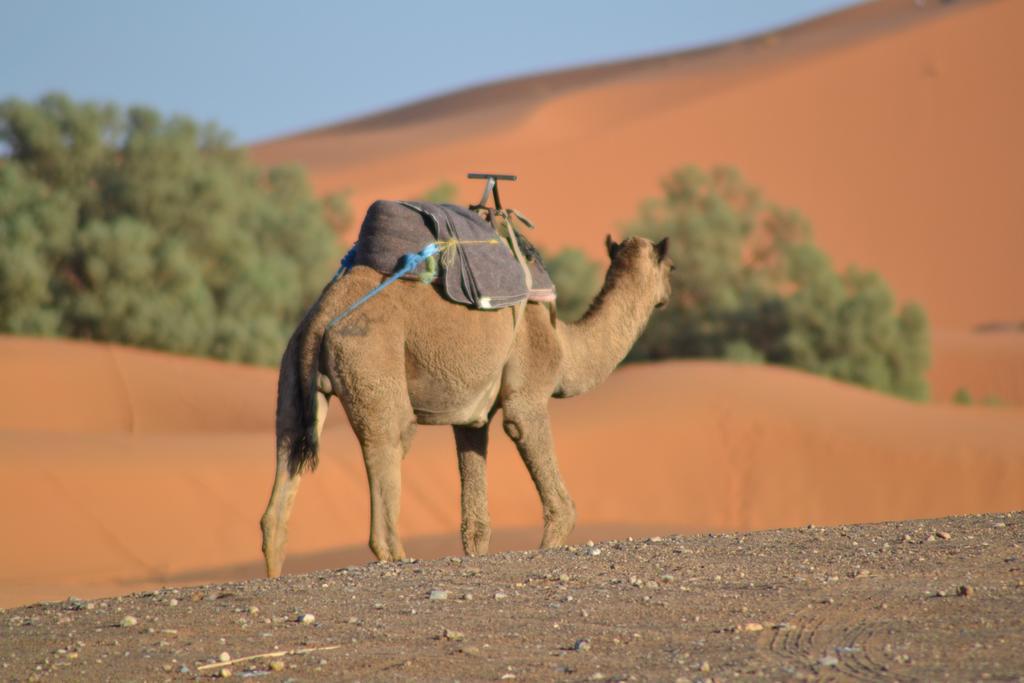 فندق Luxury Maktoub مرزوكة المظهر الخارجي الصورة